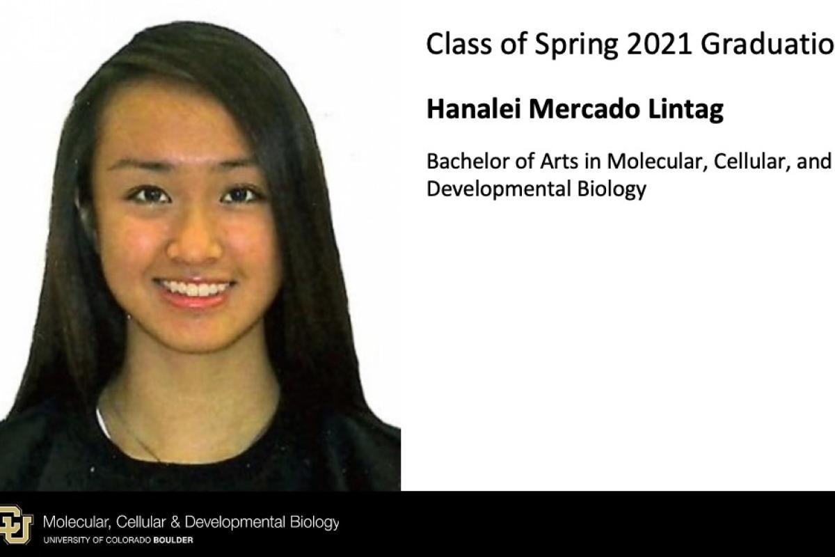 Hanalei Mercado Lintag