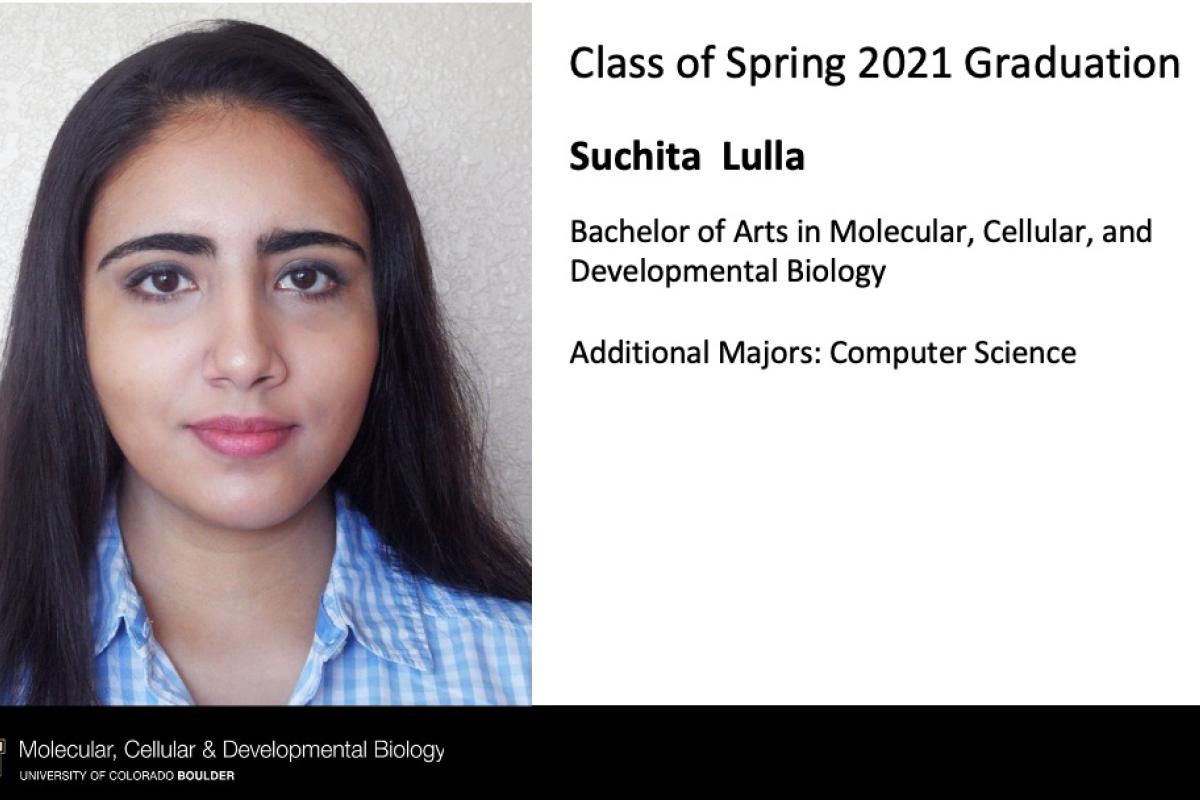 Suchita Lulla