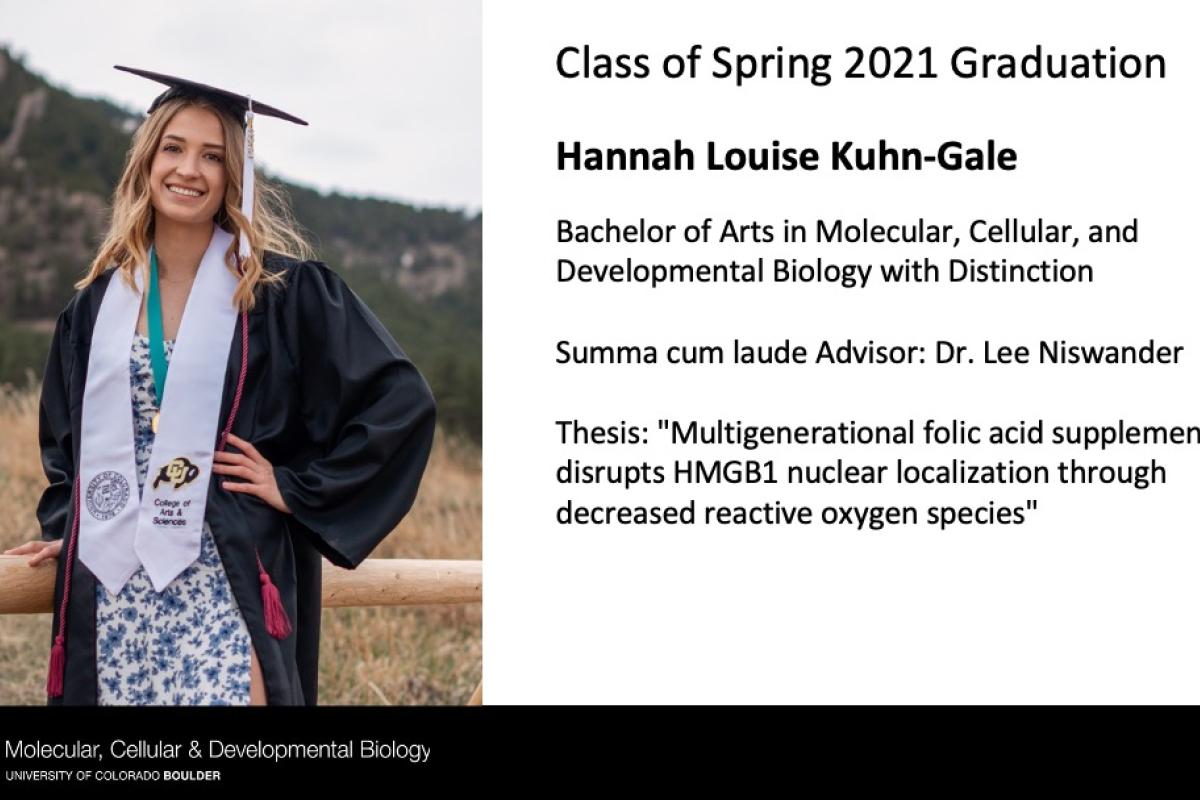 Hannah Louise Kuhn-Gale