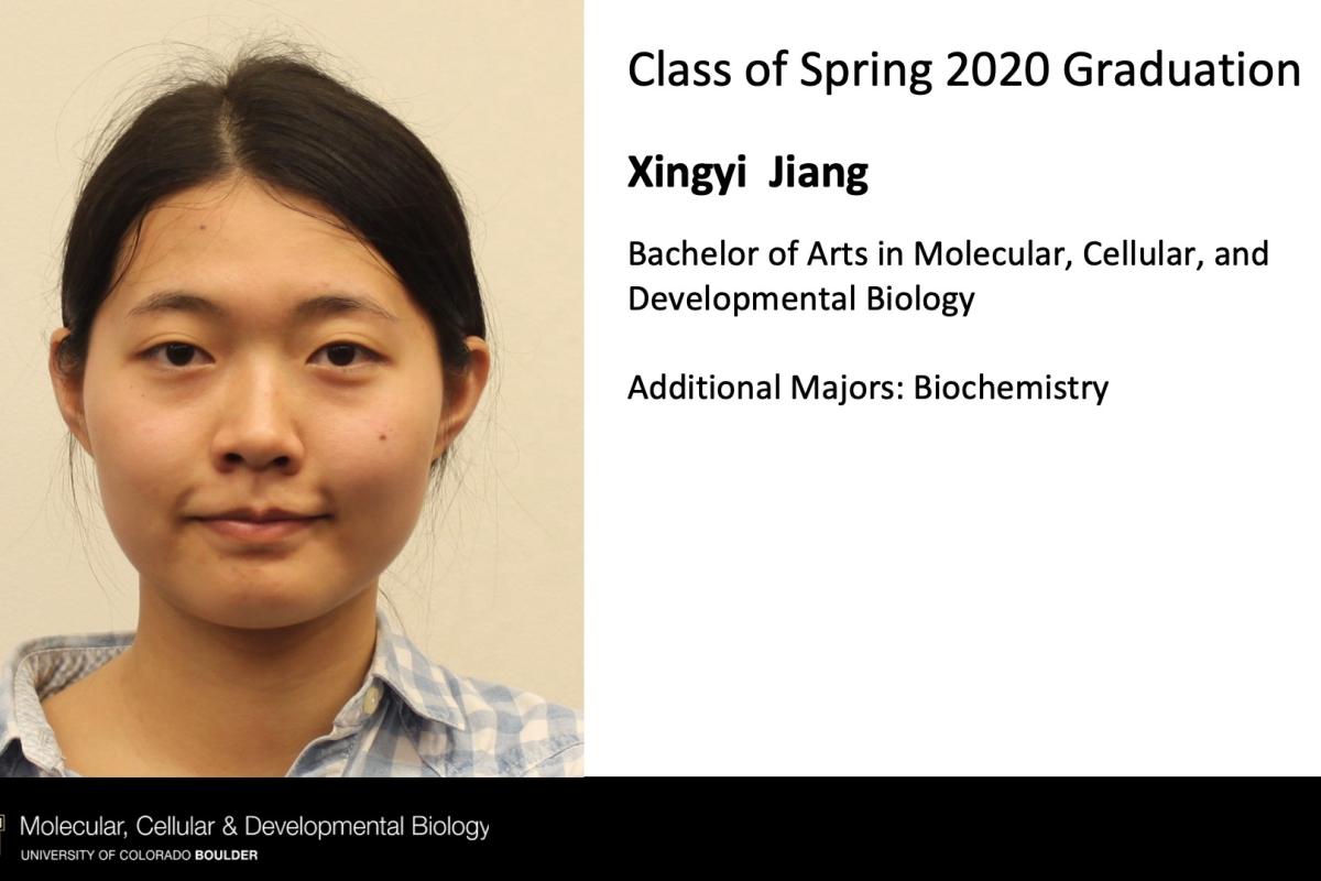 Xingyi Jiang