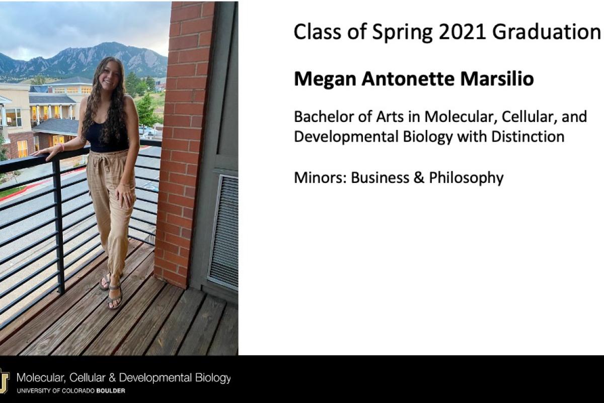 Megan Antonette Marsilio