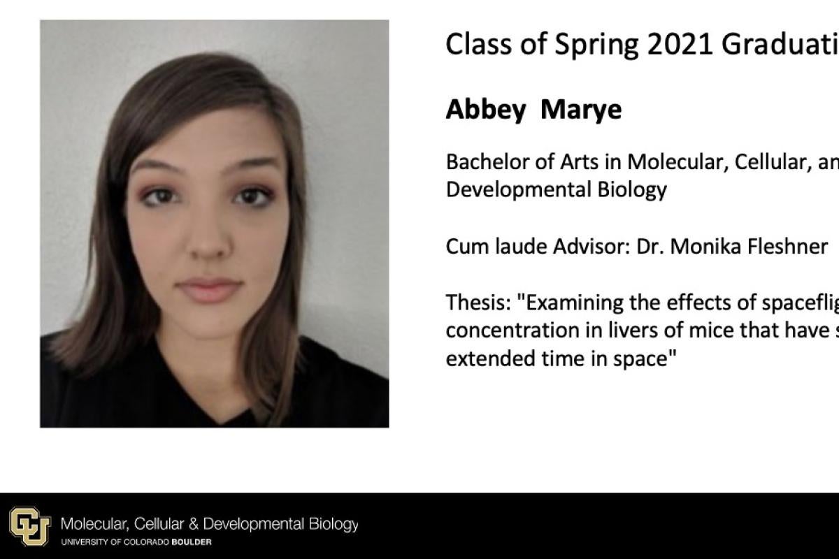 Abbey Marye