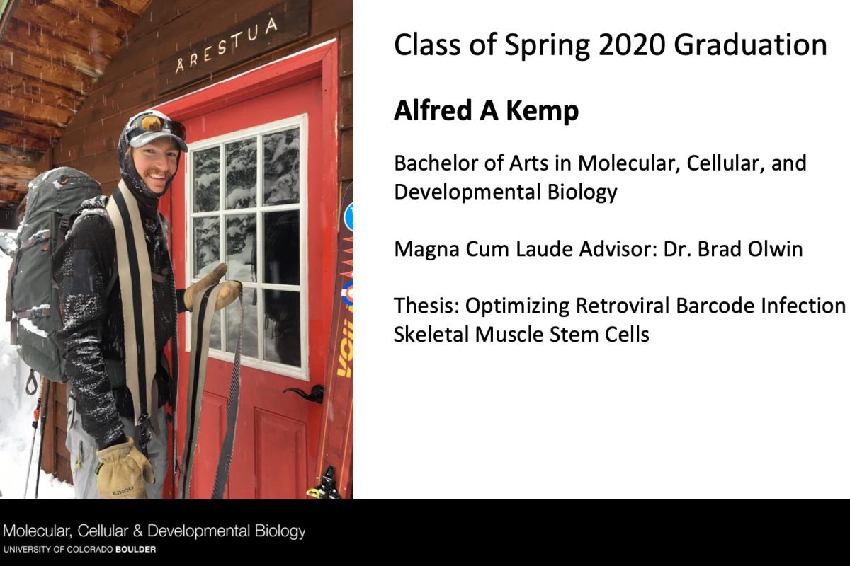 Alfred A Kemp