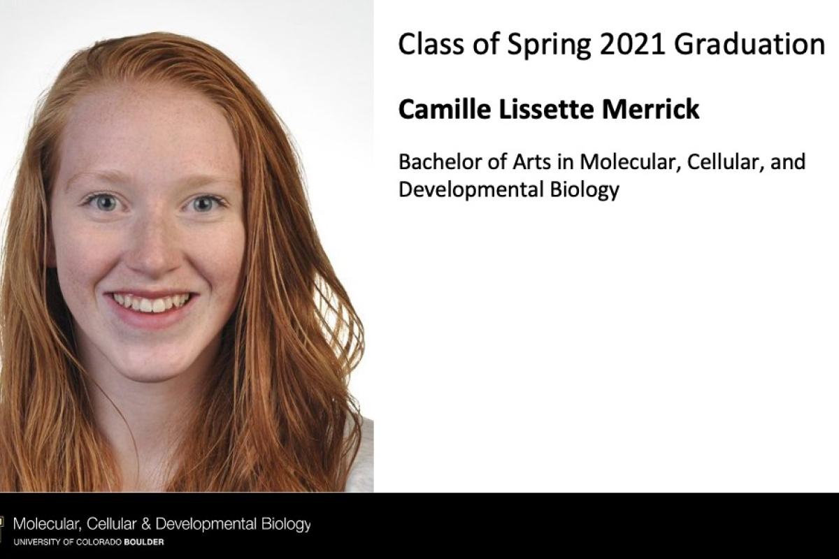 Camille Lissette Merrick