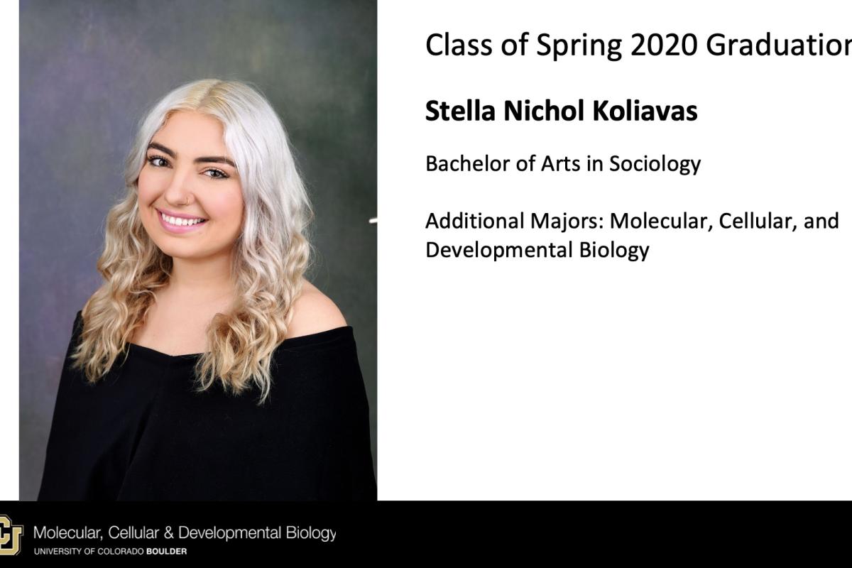Stella Nichol Koliavas