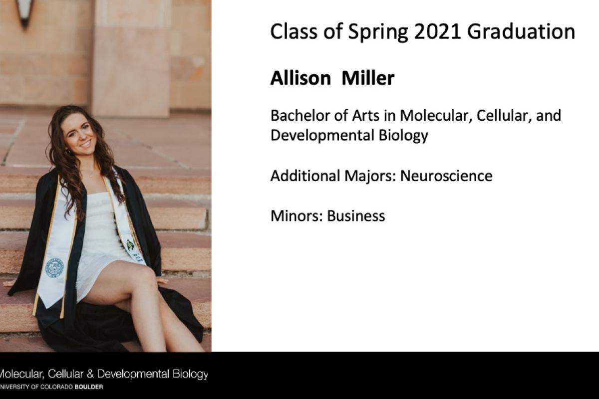 Allison Miller