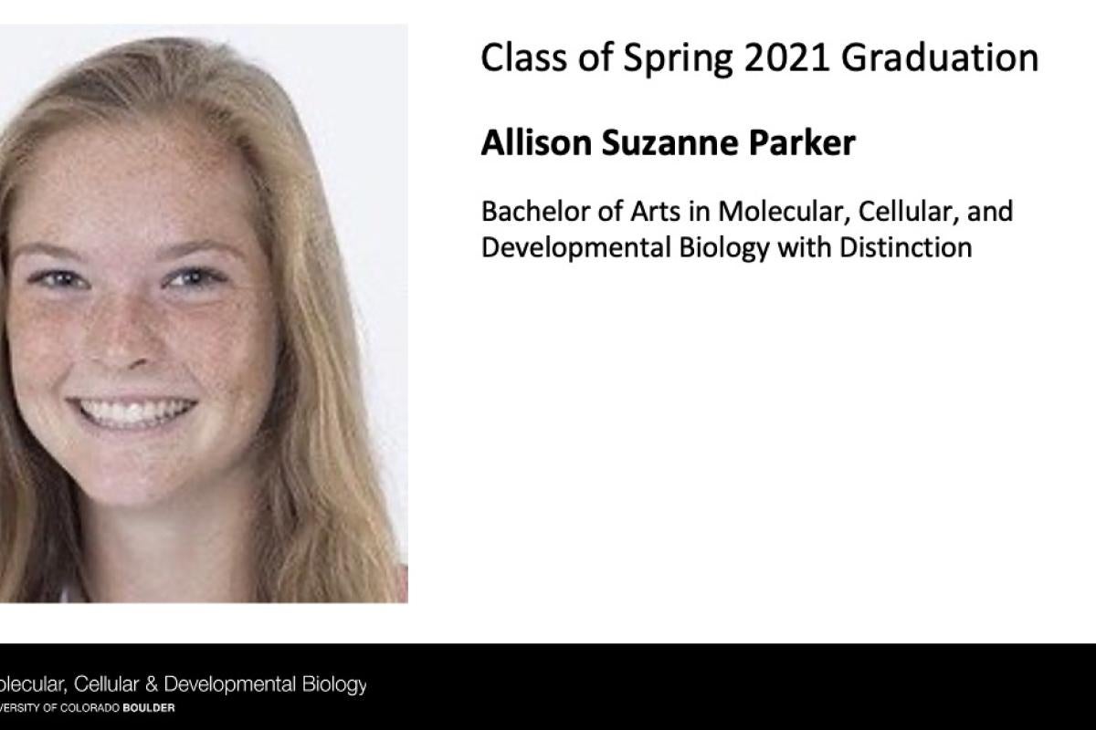 Allison Suzanne Parker