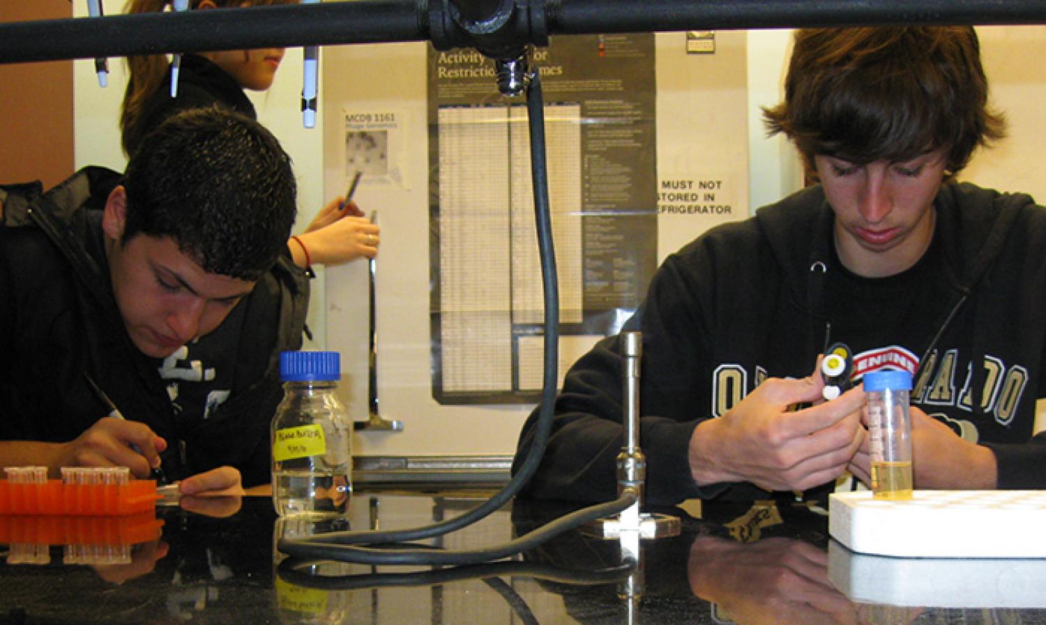 CU students at work hunting phage.