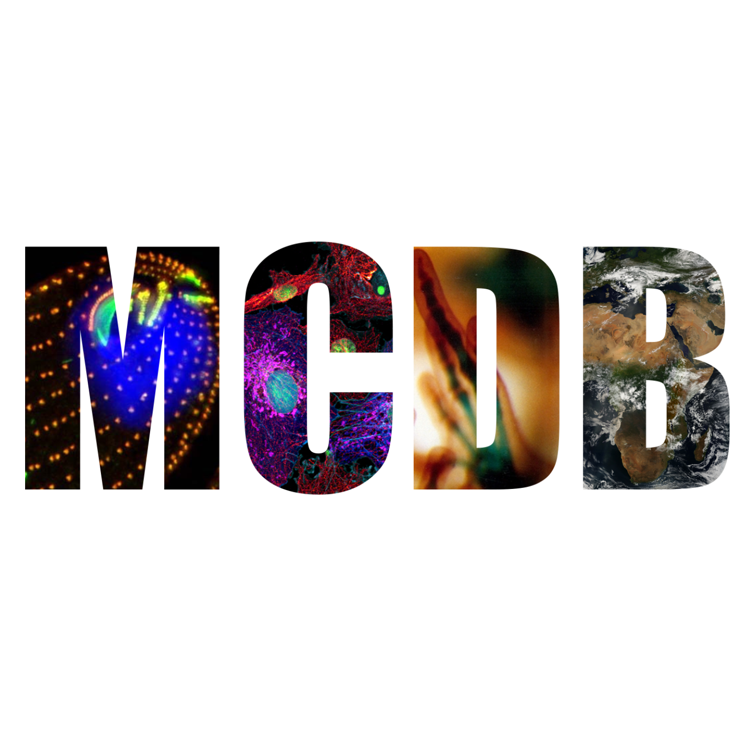MCDB Logo