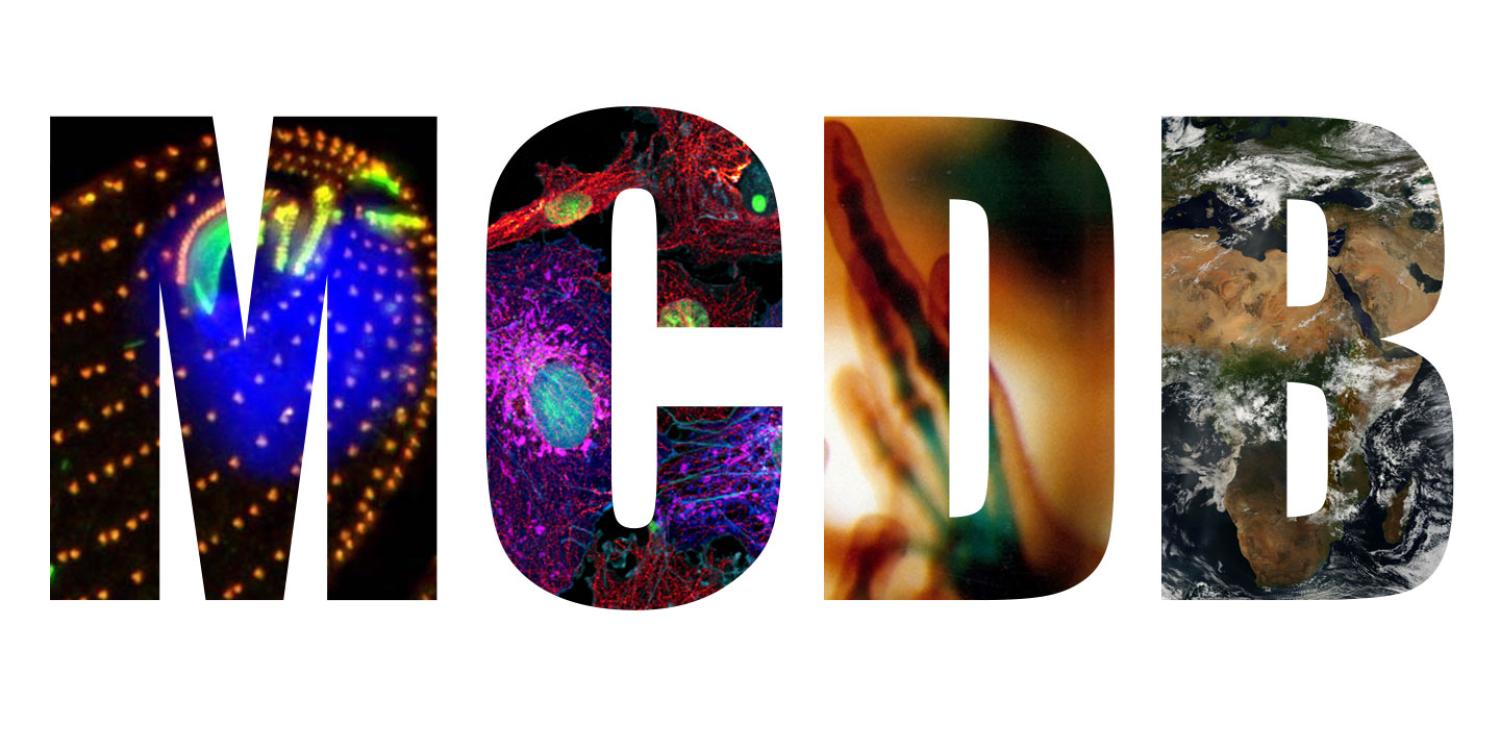 MCDB Logo