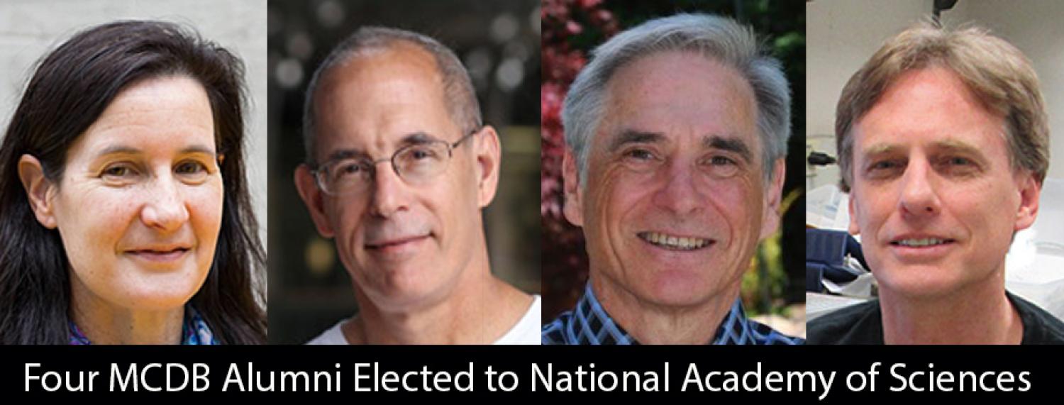 Four MCDB Alumni Elected to National Academy of Sciences