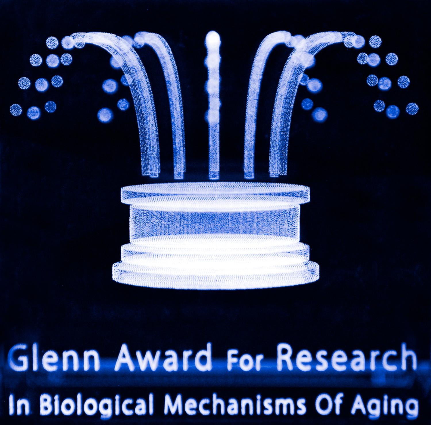 Glenn Award for Research