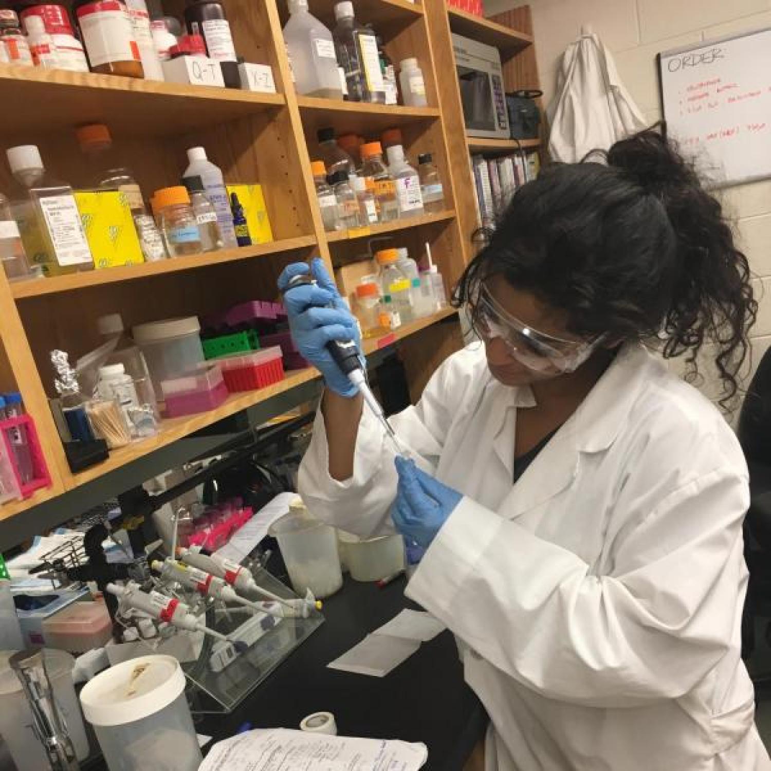 Image of student working in a lab.
