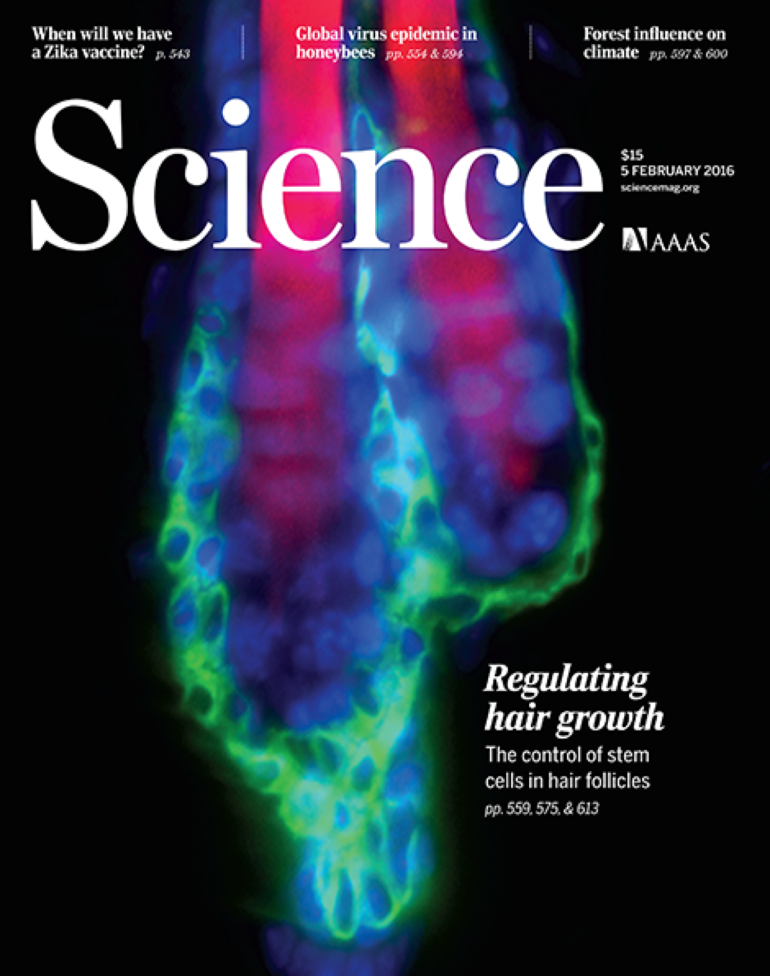 Science_cover
