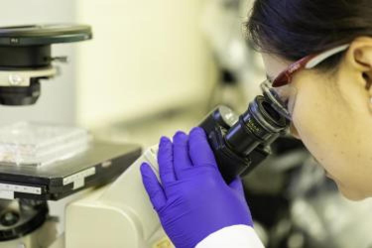 Scientist at microscope