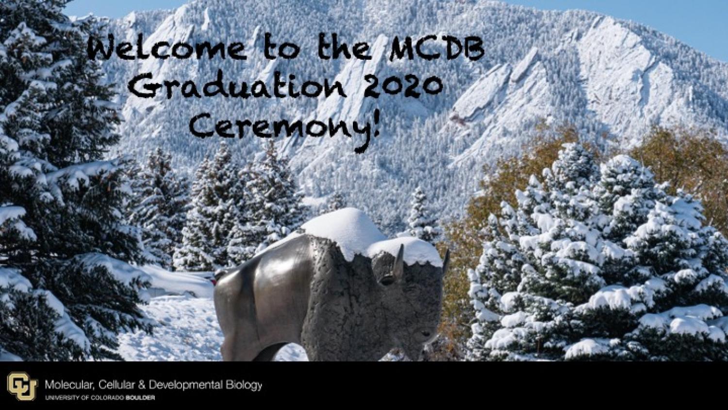 Welcome to the MCDB Graduation 2020 Ceremony!