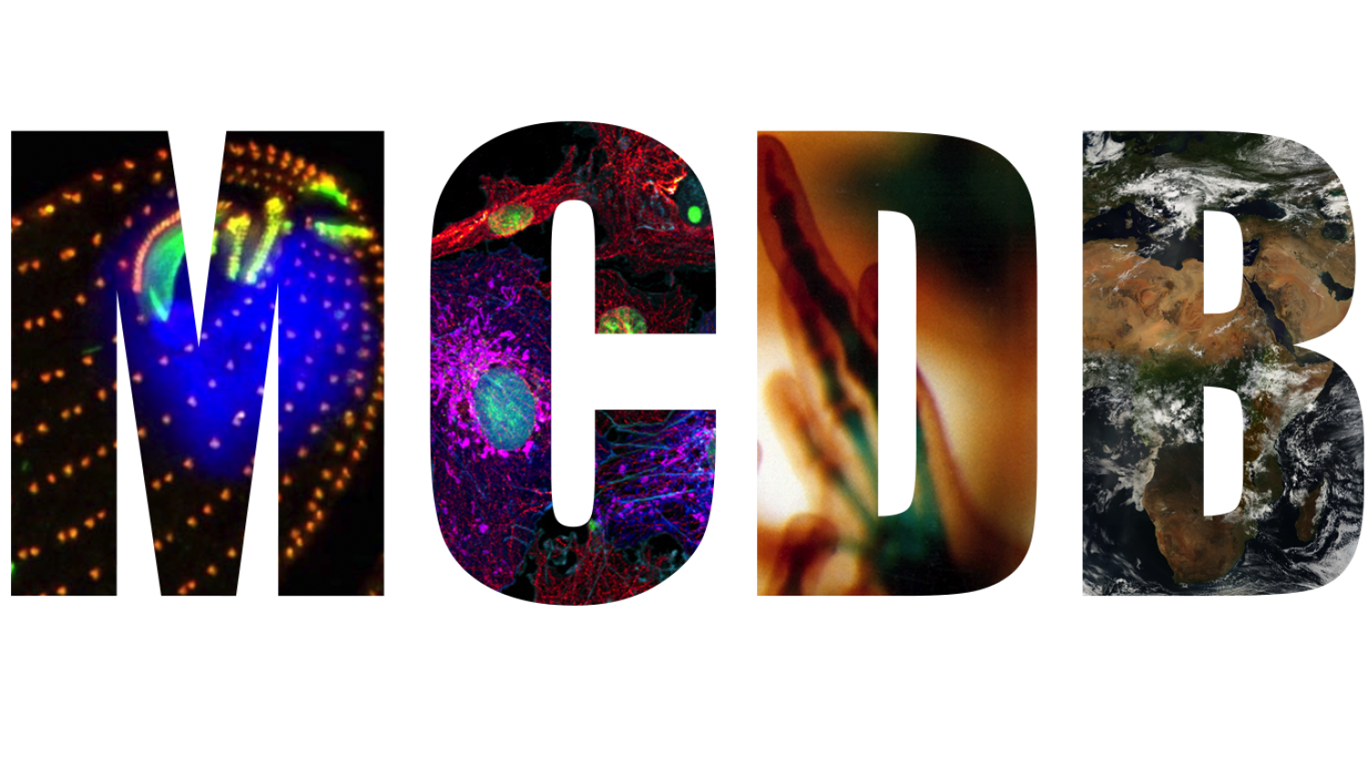 MCDB Logo