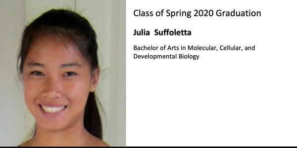 Julia  Suffoletta