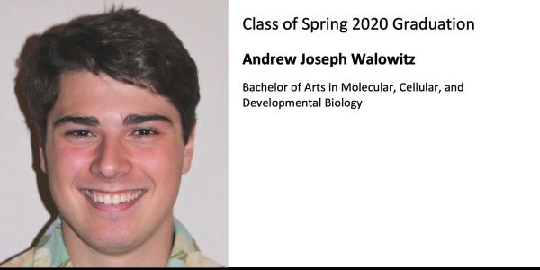 Andrew Joseph Walowitz