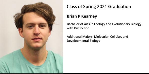 Brian P Kearney