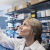 Corrie Detweiler has teamed up with a Boulder company to work on compounds that make old antibiotics new again. (Credit: Patrick Campbell/CU Boulder)