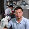 Prof. Ding Xue