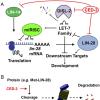 Details of Biochemistry