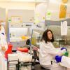 Hands-On Human Induced Pluripotent Stem Cell Culture Trainees