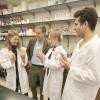Scientists looking at soybean sprouts in sample containers.