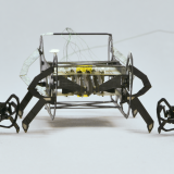 bug robots kaushik jayaram