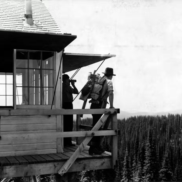 Fire crews looking for smoke in forest from a tower