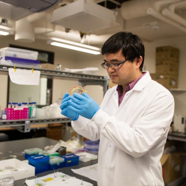 Associate Professor Xiaoyun Ding in the lab