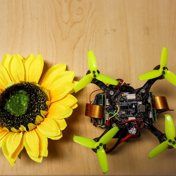 yellow flower (left) autonomous drone (right)