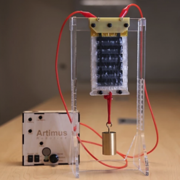 Artimus Robotics