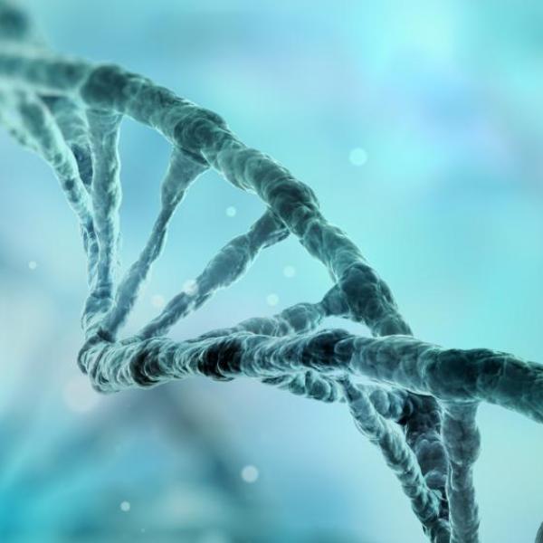 Biomedical engineering at CU Boulder