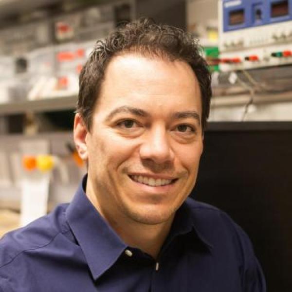 mark rentschler