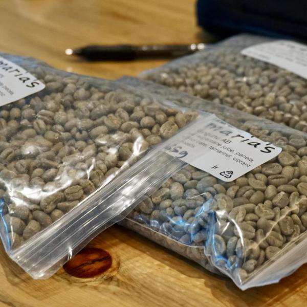 Lab experiment starts with unroasted beans