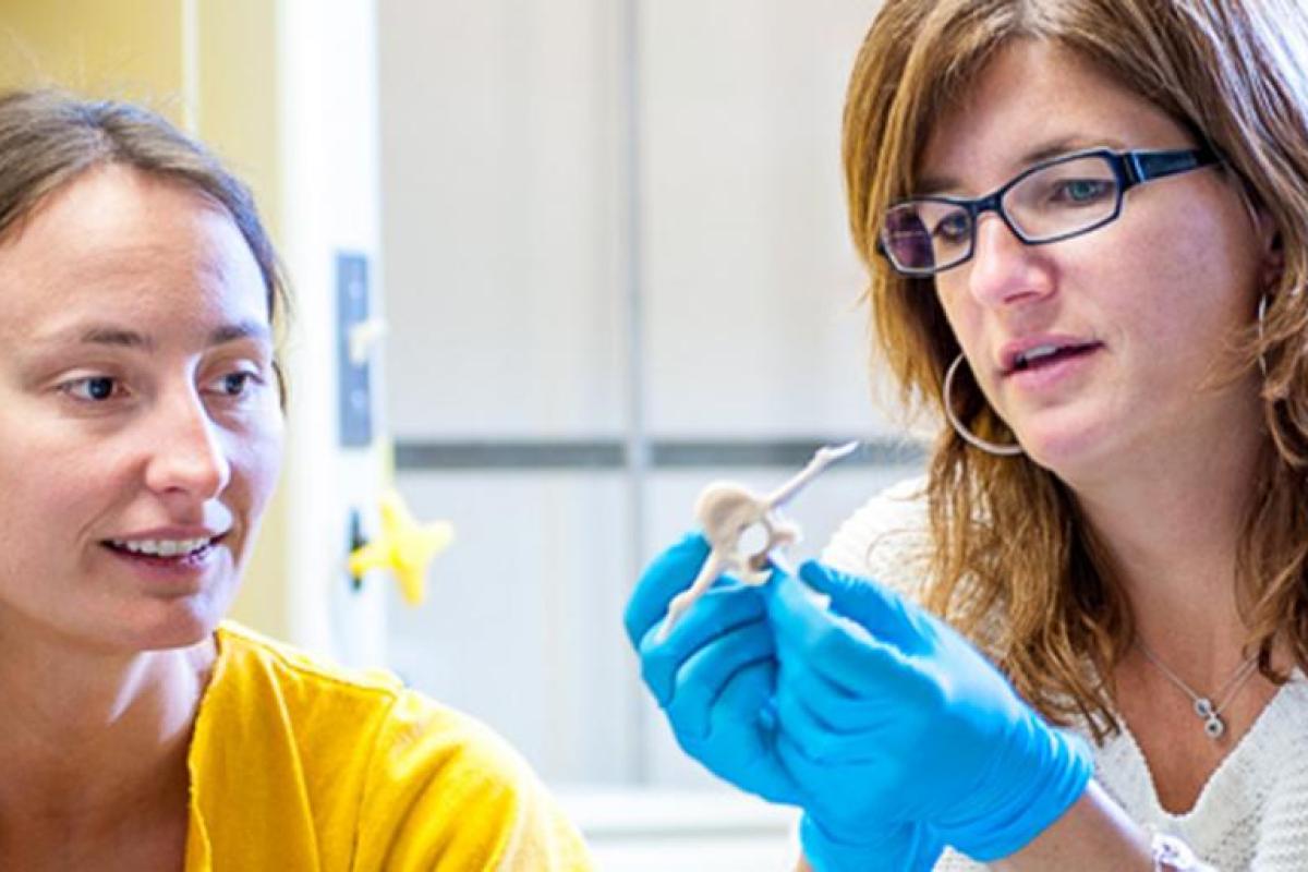 student and professor studying bones in lab