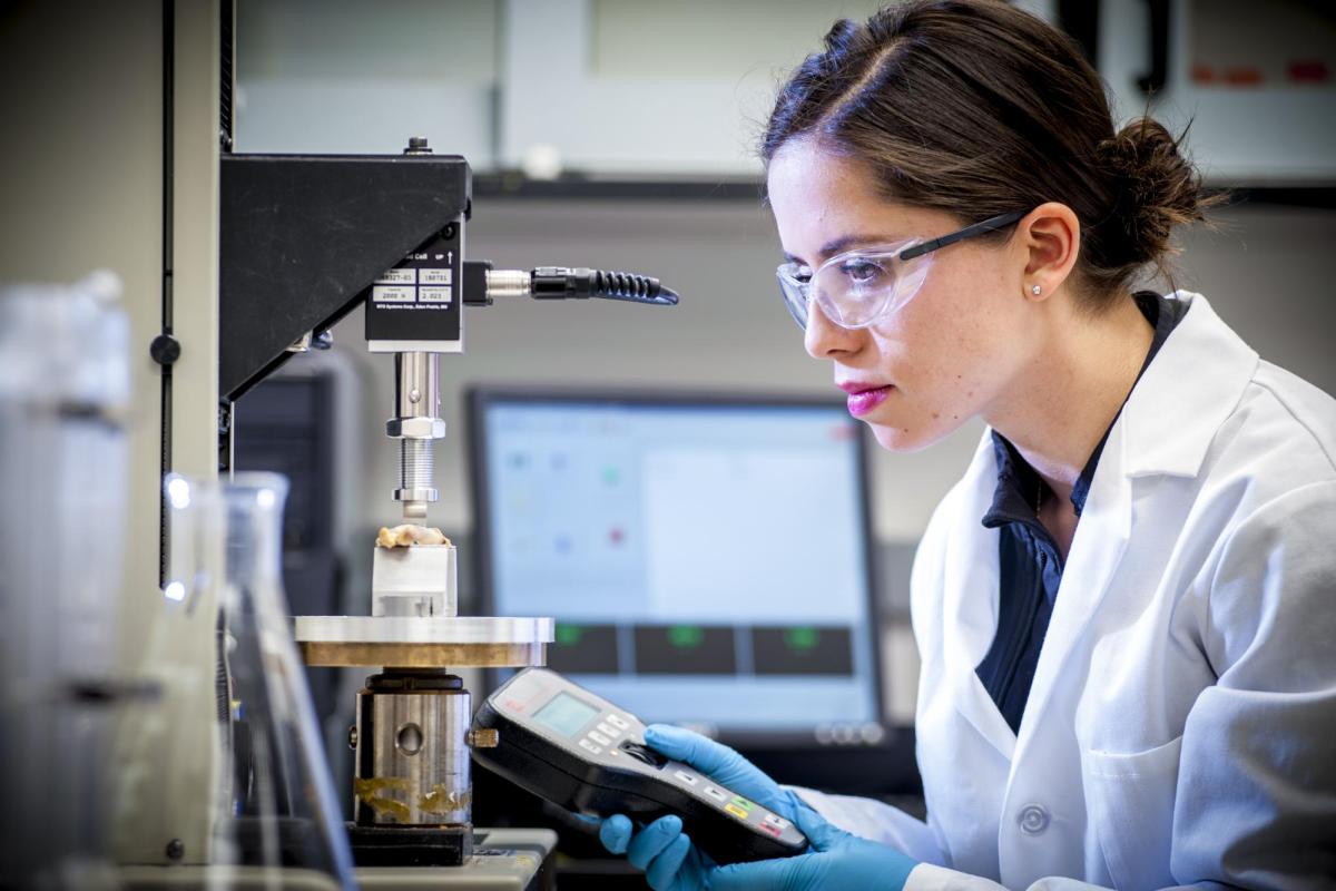 graduate student doing research