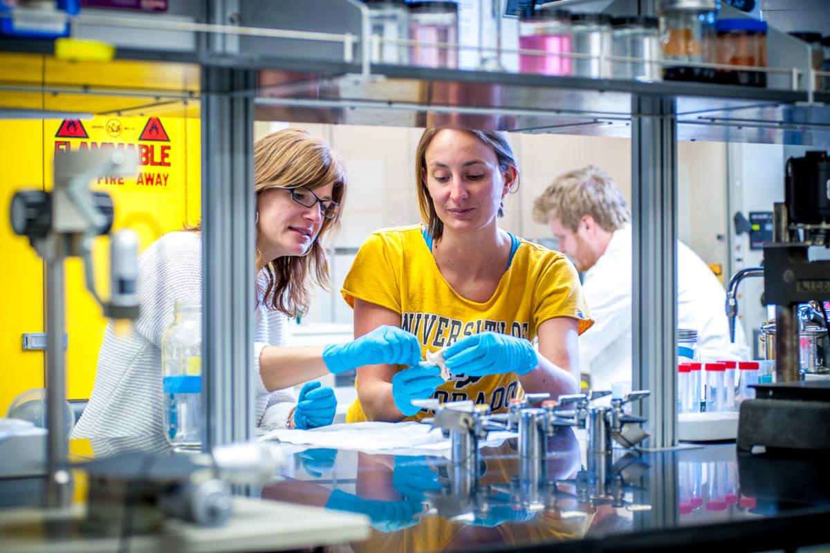 Working in the Biomechanics and Biomimetics Laboratory