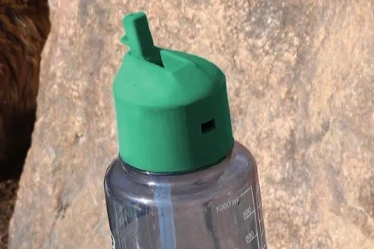 Water Bottle