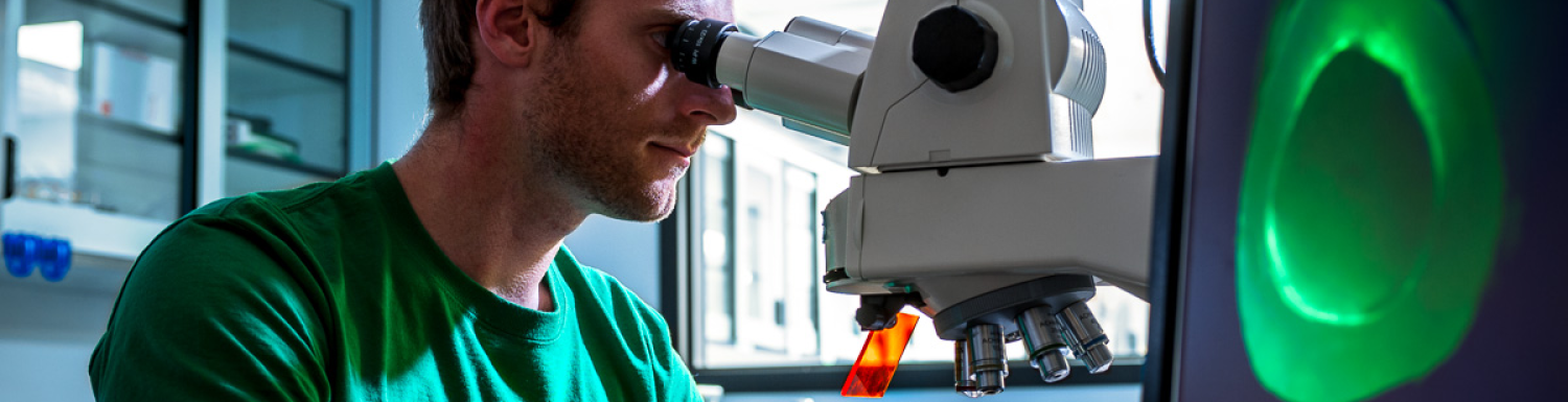 Graduate student looking into a microscope.