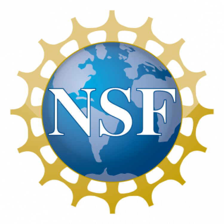 nsf logo