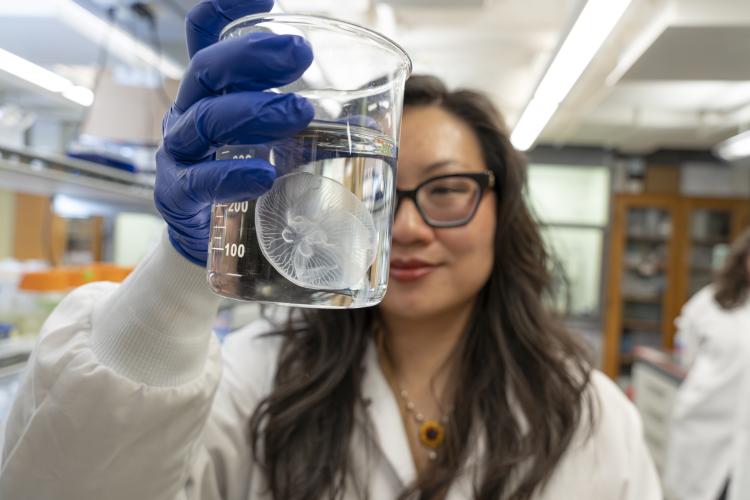 Nicole Xu and her robotic jellyfish