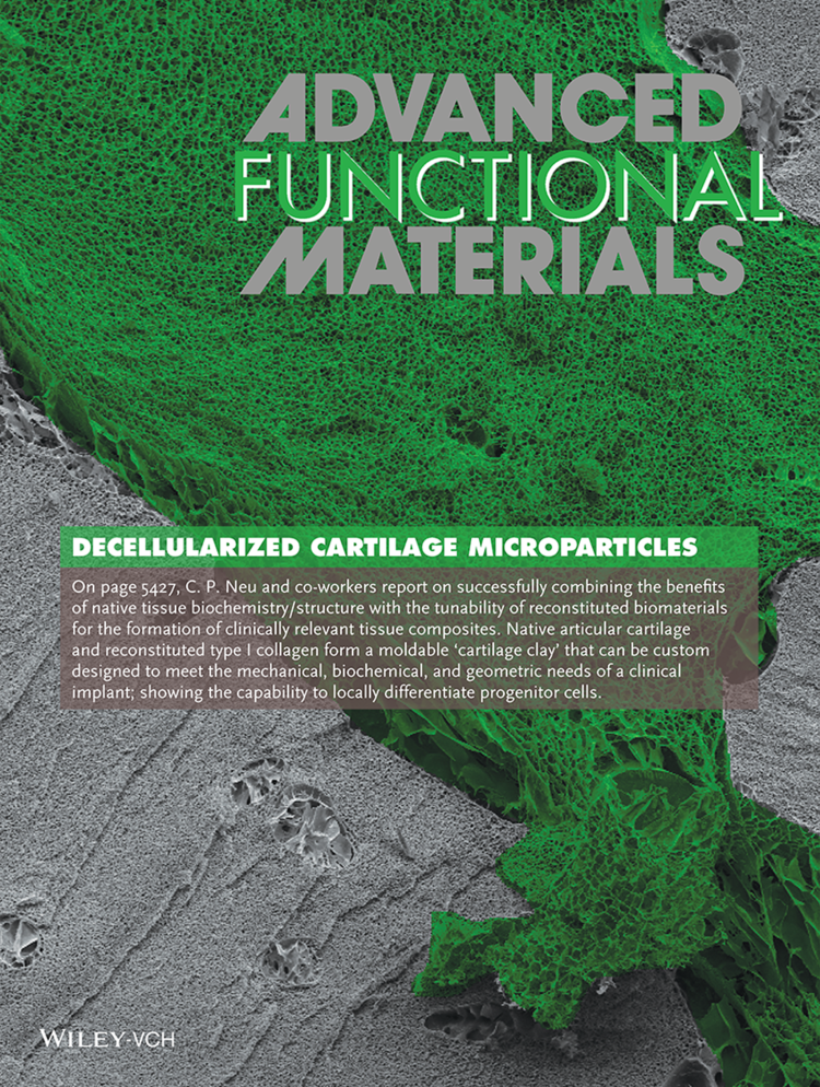 Advanced Functional Materials cover #1