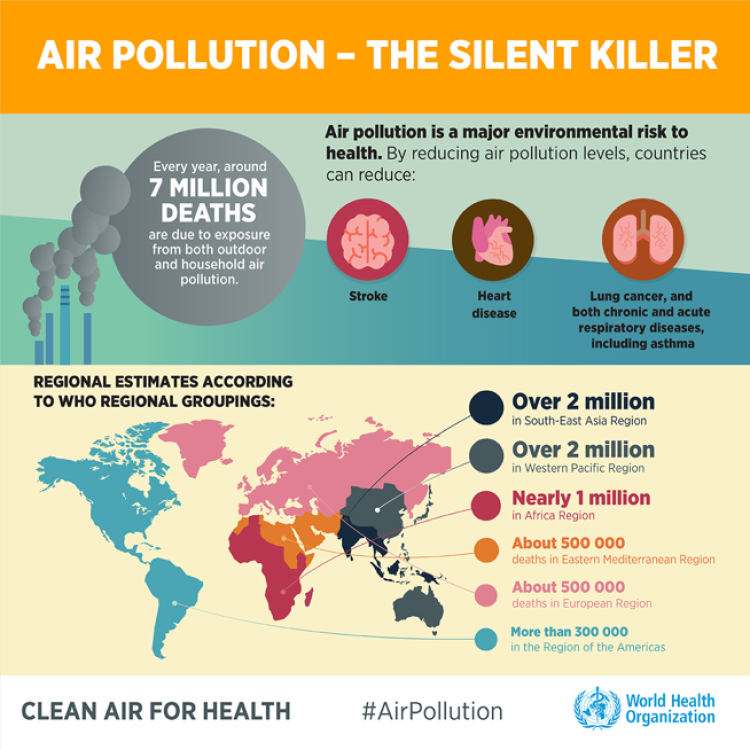 Air pollution - the silent killer (Photo credit: World Health Organization)