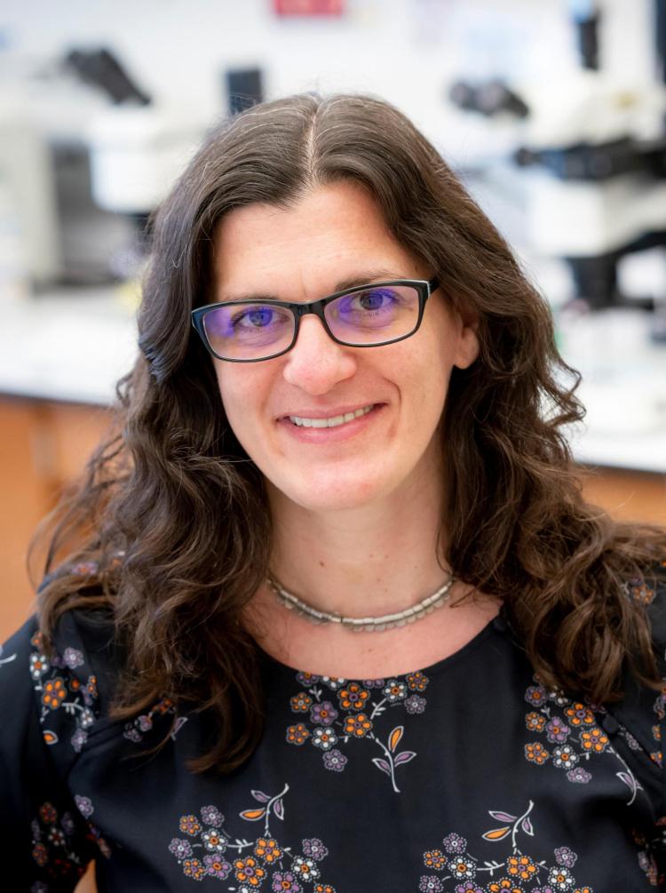 Associate Professor Sarah Calve at CU Boulder's Department of Mechanical Engineering