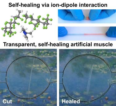 Visual of the self healing material.