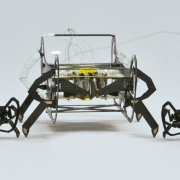 bug robots kaushik jayaram