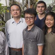 Ronggui Yang and Xiaobo Yin with students in a greenhouse.